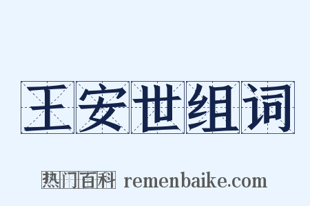 王安世组词是什么意思的图片